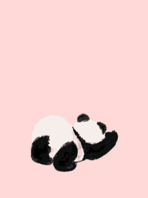 a black and white panda bear laying on its back on a pink background