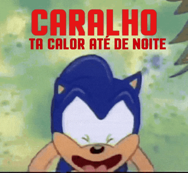 a cartoon of sonic with the words caralho ta calor ate de noite above him
