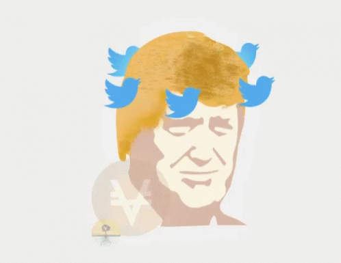 Donald Trump Twitter GIF - Donald Trump Twitter Trump Twitter GIFs