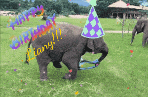 an elephant wearing a party hat says happy birthday liany !!