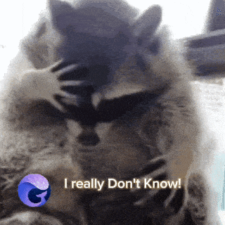 a picture of a raccoon with the words i really don 't know above it