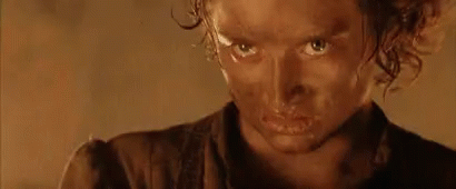 You Know Frodo GIF - You Know Frodo One Ring GIFs