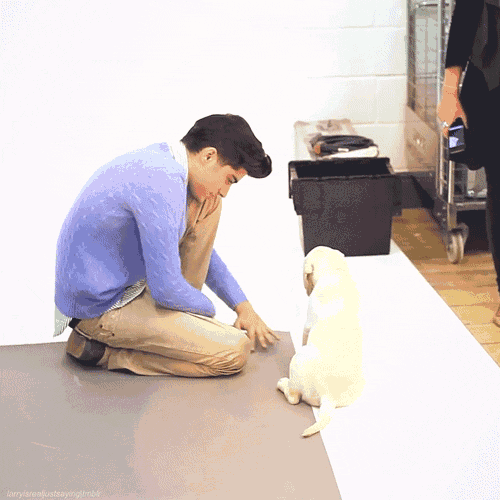 a man in a blue sweater is kneeling down next to a small puppy
