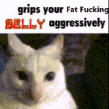 a white cat with a caption that says `` grips your fat fucking belly aggressively ''