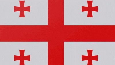the flag of georgia has four crosses on it