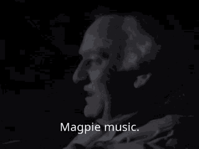 Magpie Music Magpie GIF - Magpie Music Magpie Music GIFs