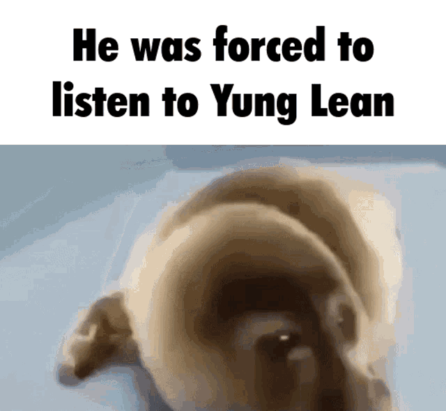 He Was Forced To Listen To Yung Lean GIF - He Was Forced To Listen To Yung Lean He Was Forced To Listen To Yung Lean GIFs