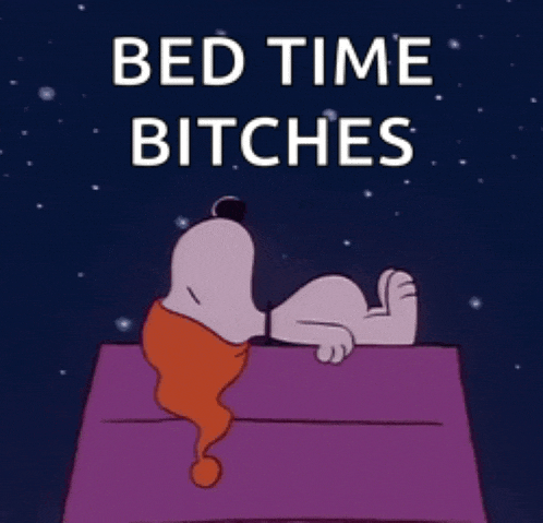a cartoon of snoopy laying in bed with the words bed time bitches