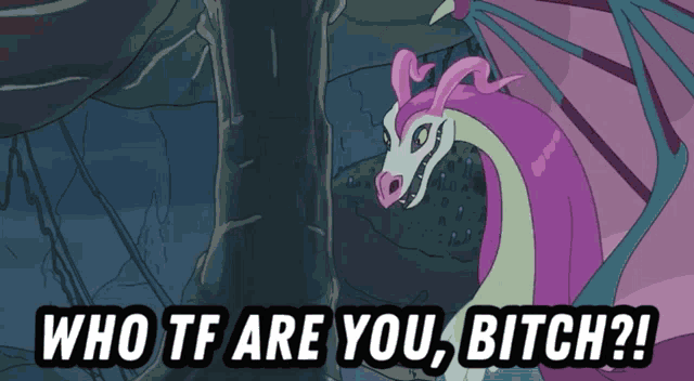 a cartoon of a dragon with the words " who tf are you bitch "