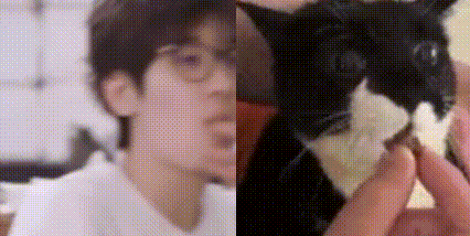 a man with glasses is holding a black cat in his hands .