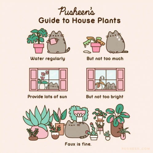 Pusheen Pusheens Guid To House Plants GIF - Pusheen Pusheens Guid To House Plants Water Regularly GIFs