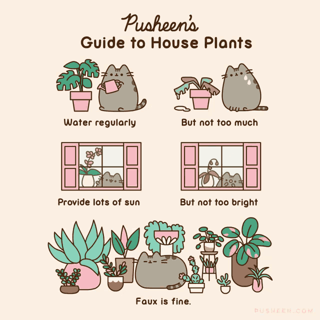 pusheen 's guide to house plants includes lots of sun and faux is fine