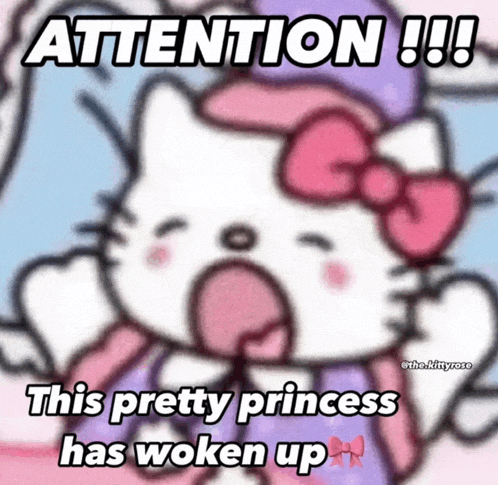 a hello kitty meme that says attention !!!