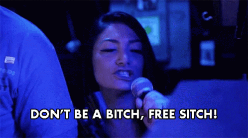 Dont Be A Bitch Free Sitch Deena GIF - Dont Be A Bitch Free Sitch Deena Jersey Shore Family Vacation GIFs