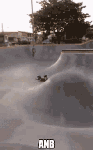 a dog is riding a skateboard down a ramp at a skate park with the word anb above it