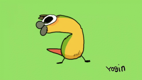Yogin Bird GIF - Yogin Bird Dance GIFs
