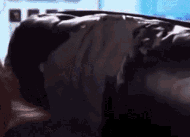 a close up of a person laying on a couch with a blue background