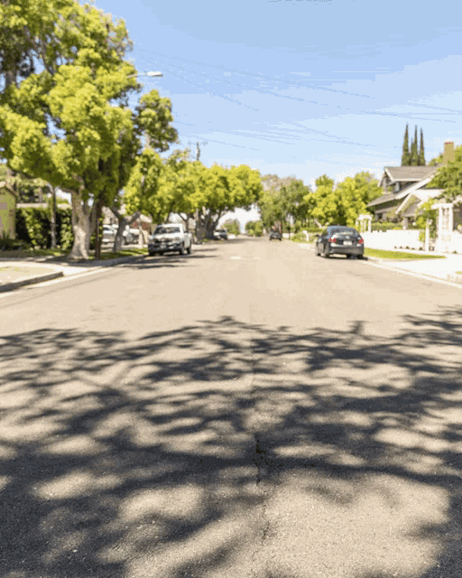 cars are driving down a street with trees on the side