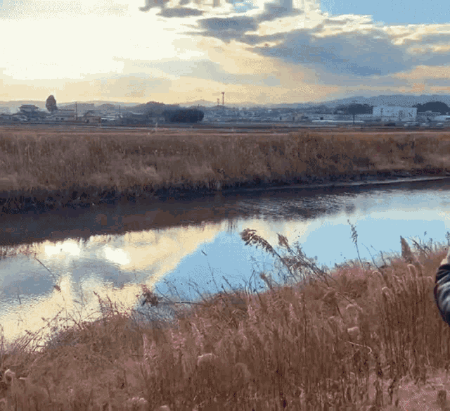 a river surrounded by tall grass with a cloudy sky