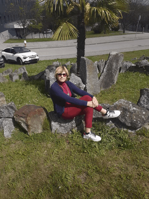 a woman sits on a rock in front of a palm tree and a white car