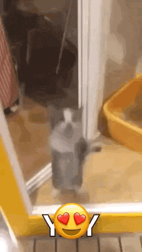 a cat is standing in front of a door with hearts in its eyes and a smiley face .