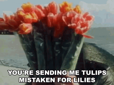 Youre Sending Me Tulips Mistaken For Lilies New Amsterdam GIF