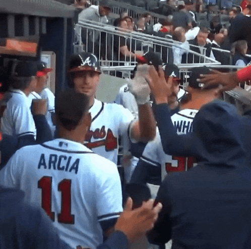 a baseball player with the name arcia on the back of his shirt