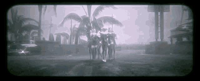 a group of people are standing in front of a palm tree