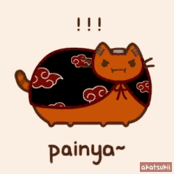 a cartoon cat is wearing a black cape with clouds and the word painya below it