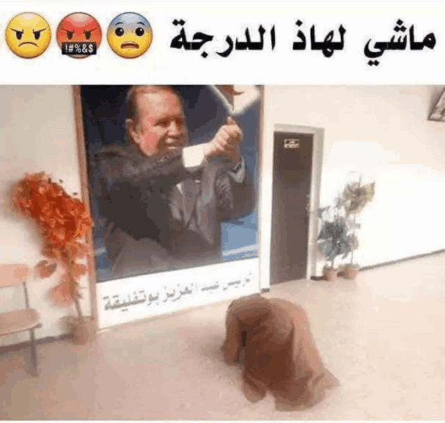 a woman is kneeling in front of a painting of a man holding a gun .