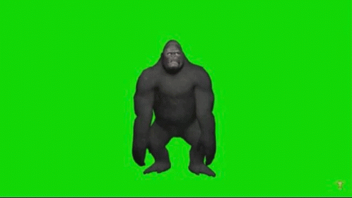 Gorilla Dance GIF