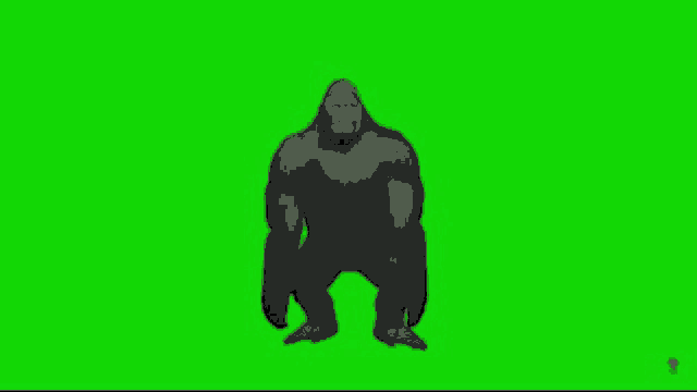 a gorilla standing on a green screen .