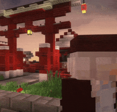 a person standing in front of a gate in a minecraft game