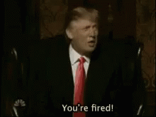 Youre Fried Donald Trump GIF - Youre Fried Donald Trump Trump GIFs