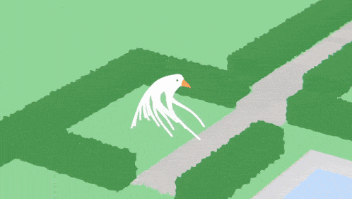 a white bird is swimming in a pool with a red heart in the water