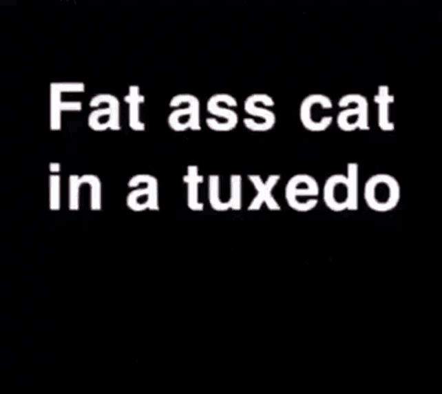 Fat Ass Fat Ass Cat GIF - Fat Ass Fat Ass Cat GIFs