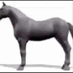 a black and white photo of a horse standing on a white background .
