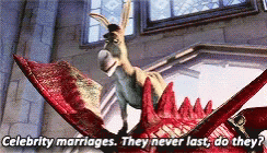 Celebrity Marriages Shrek GIF - Celebrity Marriages Shrek Donkey GIFs