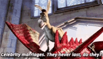 a donkey is riding a dragon with the words celebrity marriages . they never last , do they ?