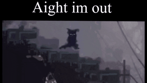 a picture of a cat flying in the air with the words aight im out above it