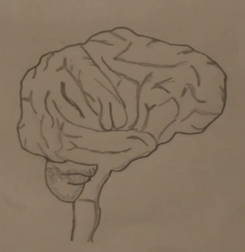 Square Brain Animated GIF - Square Brain Animated Genius GIFs