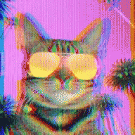 Cool Cat GIF - Cool Cat Sunglasses GIFs