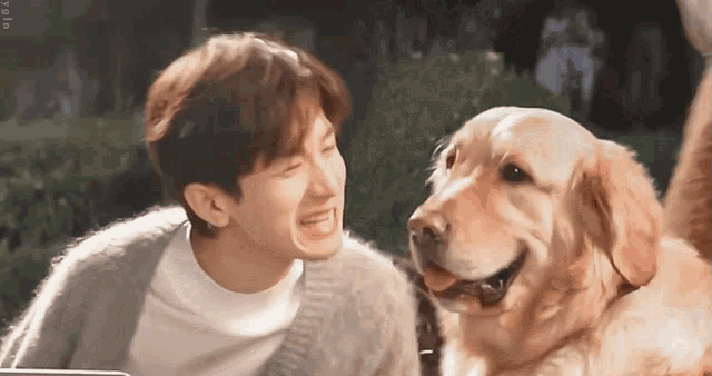 Chengyi Qiqi GIF