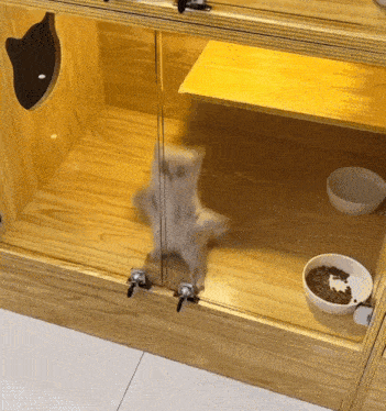 Dancing Cat Jump Cat GIF - Dancing Cat Jump Cat Cat GIFs