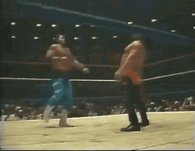 Jerry Lawler Piledriver GIF