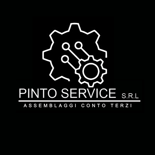 Pinto Service Pintoservice GIF - Pinto Service Pintoservice GIFs
