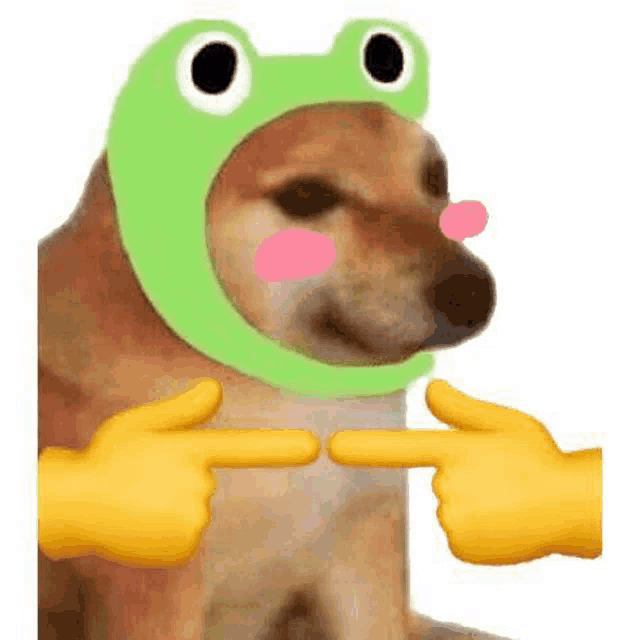 a dog wearing a green frog hat is being touched by two yellow hands .