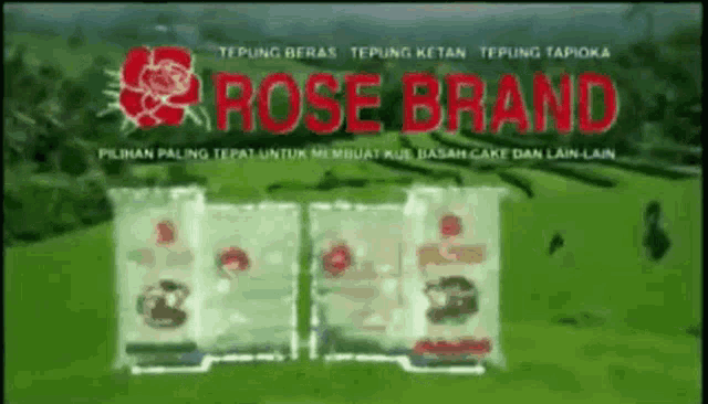 Rose Brand Ngakak GIF - Rose Brand Ngakak Tepung GIFs