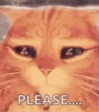 a close up of a cat 's face with the word please written on it .