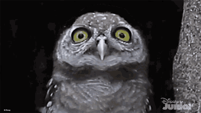 Cawing Mickey Mouse Funhouse GIF - Cawing Mickey Mouse Funhouse Horned Owl GIFs